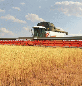 Лента для жаток Дон Мар