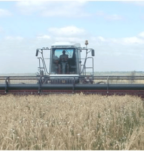 Косилка валковая транспортерная КВТ 9-18 «Draper Flow 900»