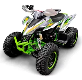 Квадроцикл YACOTA TYPHOON 250