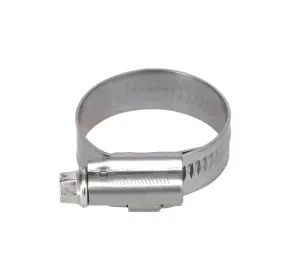 Хомут шланга V602087528 AGCO